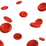 Essential Supplements to Increase Hemoglobin Level