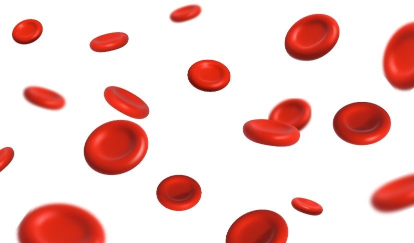 Essential Supplements to Increase Hemoglobin Level