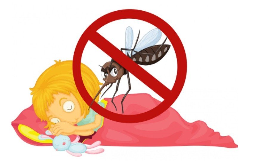 How Yellow Fever Is Transmitted