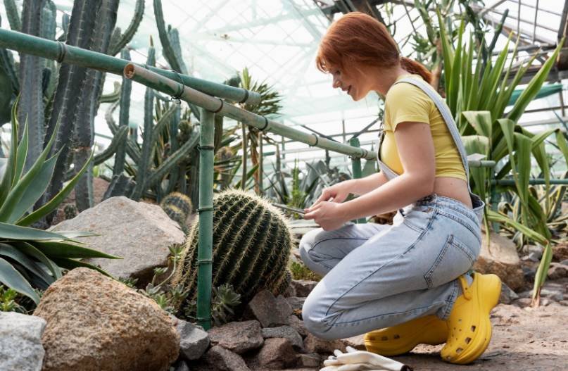 The Xeriscaping Mistake People Keep Repeating