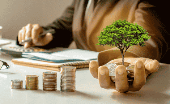 Top Fund Managers in Australia Insights and Opportunities
