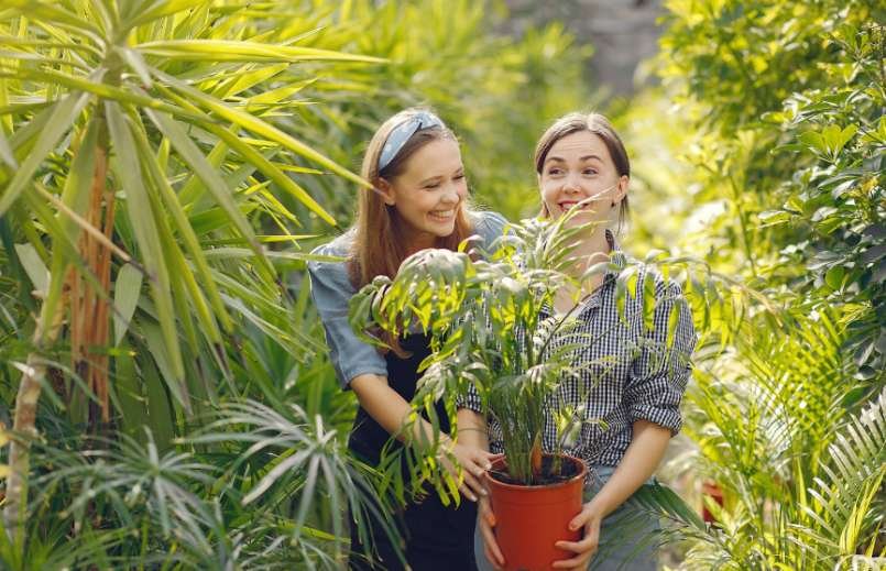 Utah Plants Fail When They Are Chosen for Appearance Instead of Performance