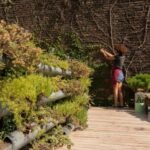 Why Landscaping Utah Projects Fail: Drainage, Plant, and Irrigation Mistakes