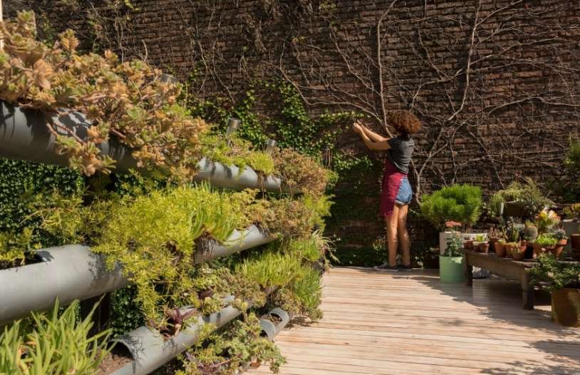 Why Landscaping Utah Projects Fail: Drainage, Plant, and Irrigation Mistakes